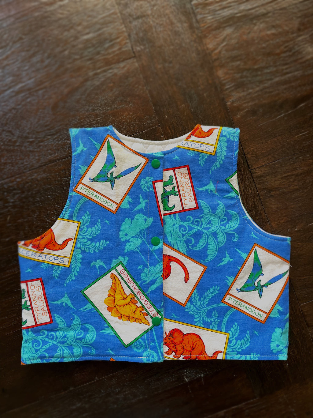 Dinosaurs Kids Vest | Size 4.